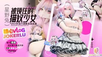  【星野兔】被锁进囚笼的猫奴少女 24小时淫穴调教